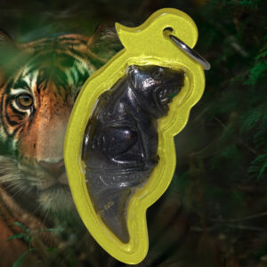 Amulette Phaya Saming Dam (dent de tigre noir)
