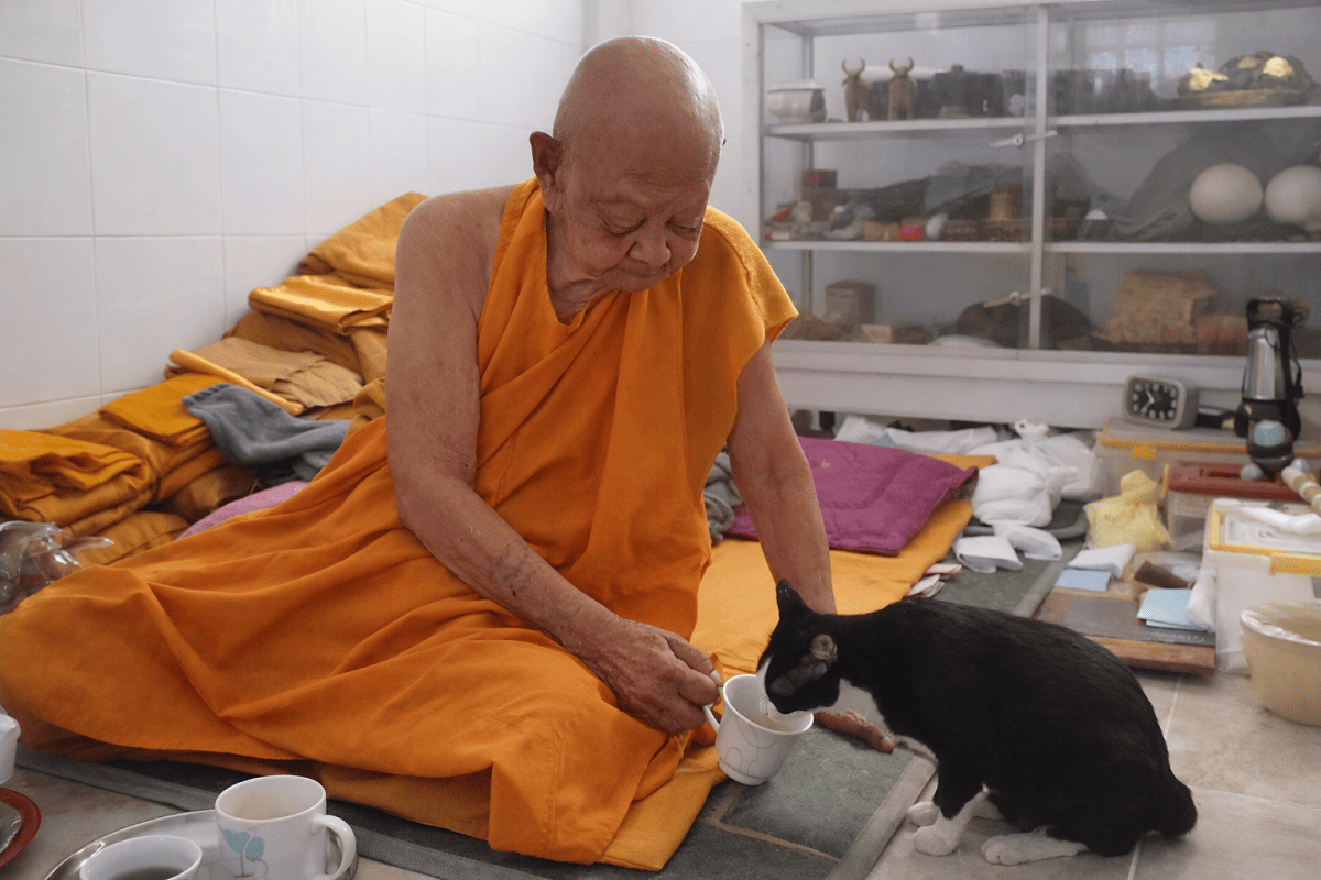 Le Très vénérable LP Hong, pleine compassion vivante envers les animaux.