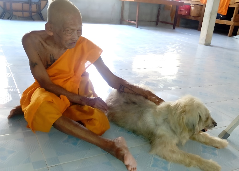 Le très vénérable LP Chang Kantasaro du monastère Samnak Song Nong Yai Mao